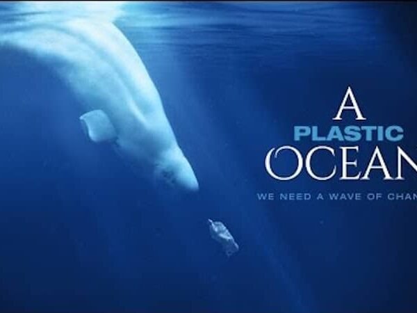A Plastic Ocean: Documental Completo sobre la Contaminación del Mar