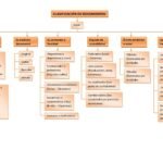 Clasificación de documentos: ¿Cómo se clasifican?