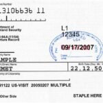 Con qué otro documento puedo salir de Estados Unidos sin visa