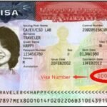 Descubre el número de documento de la visa