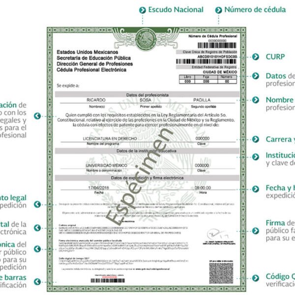 Documentos necesarios para solicitar empleo