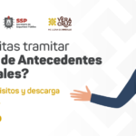 Qué documentos necesitas para obtener la carta de antecedentes no penales