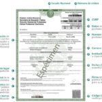 Qué documentos necesitas para solicitar un trabajo