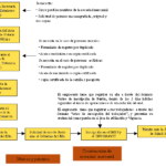 Qué documentos se necesitan para diferentes trámites